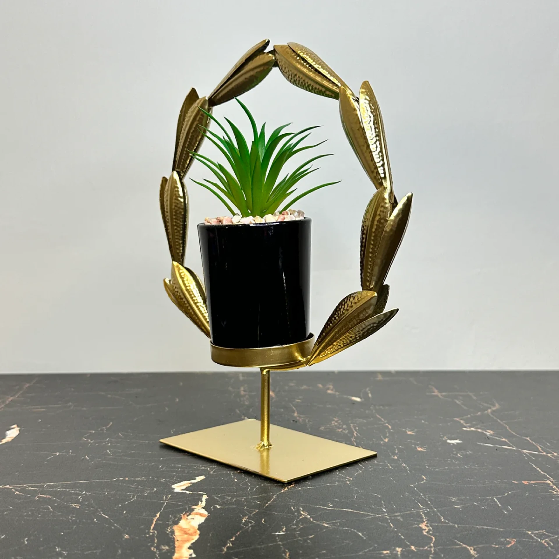 Top 10 Benefits of Adding a Golden Agave Plant to Your Indoor or Outdoor Garden