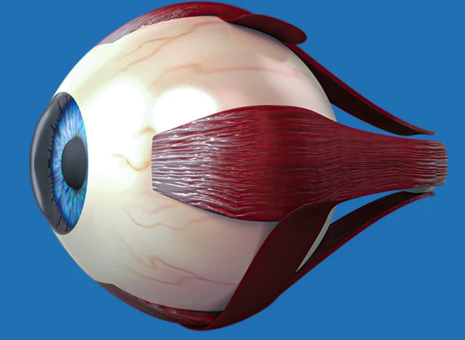 Expert Eye Specialist in Delhi NCR: Your Guide to Healthy Vision Care