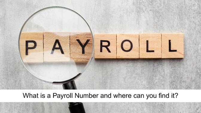 What is a Payroll Number and Why It Matters for UK Employees and Employers