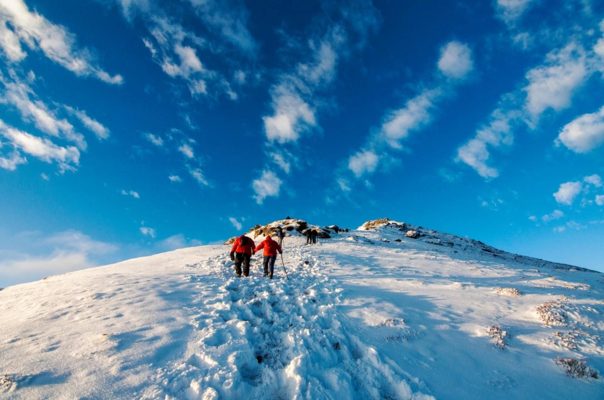 Kedarkantha Trek Price 2025: A Handy Guide for Your Adventure