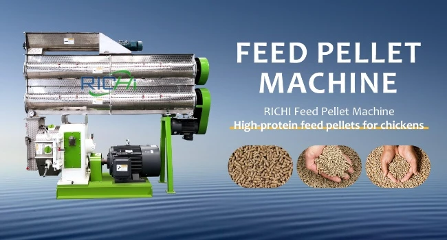 Pelletizing Equipment Cost Philippines Ideal Option For Feed And Biomass Manufacturing