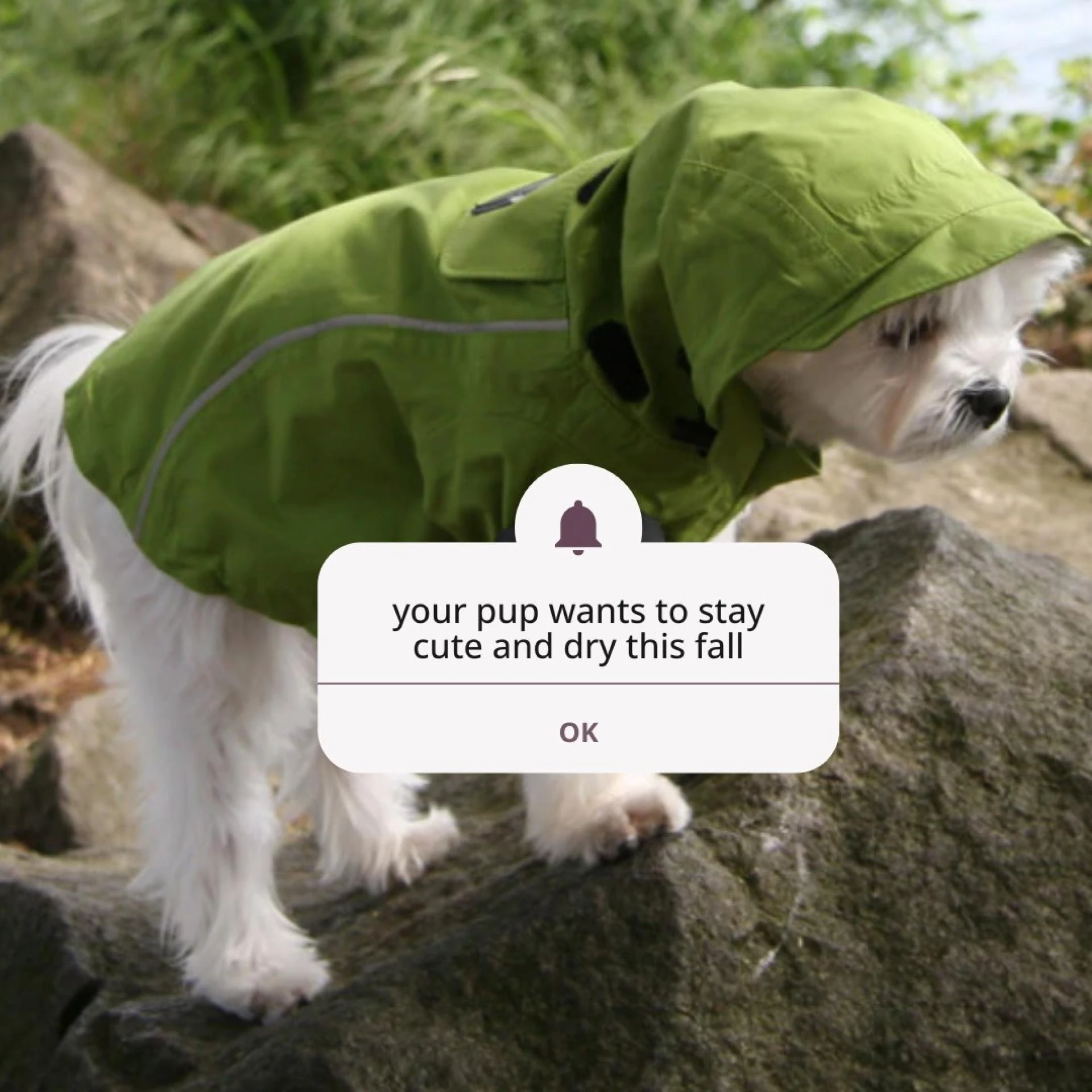 Rain-Ready Comfort with Our Dog Waterproof Vest