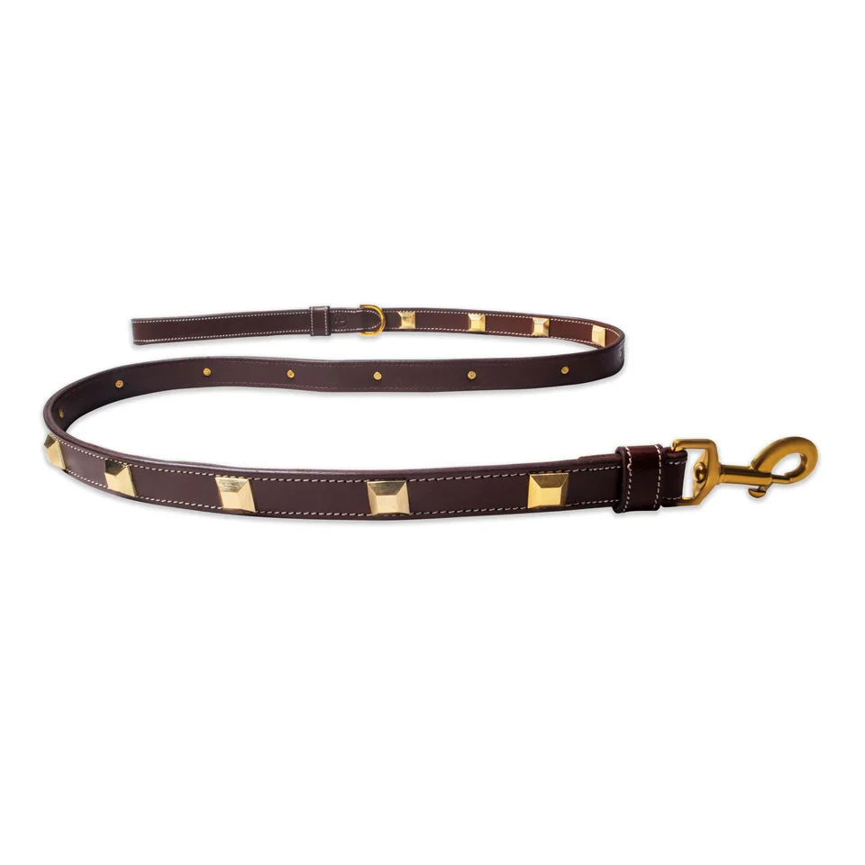 Leather Leashes: The Perfect Blend of Durability and Style for Your Dog