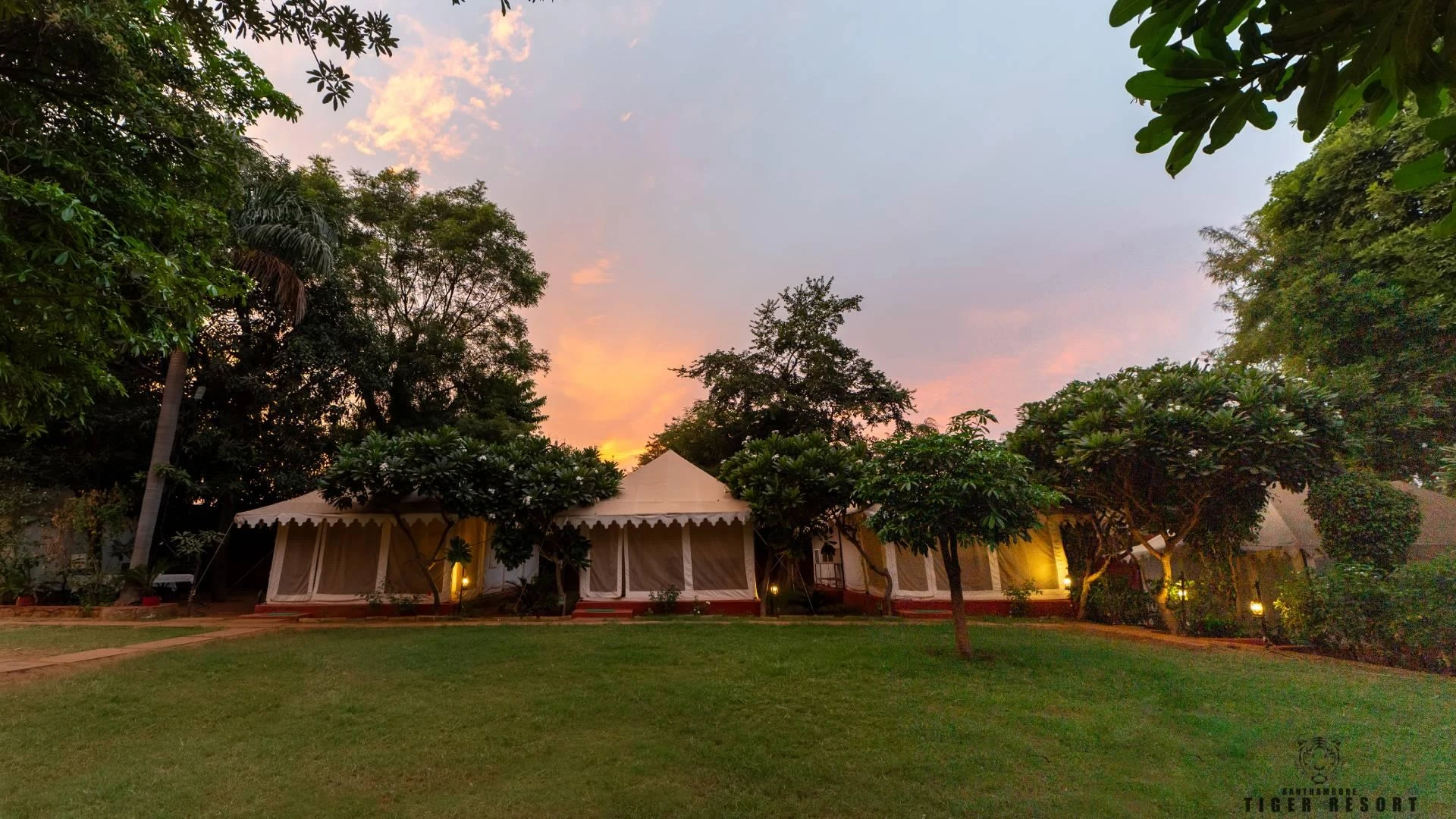 A Night Under the Stars: Magical Tent Camping in Ranthambore