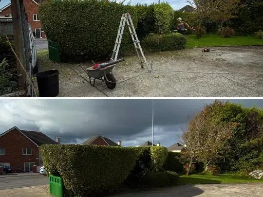 Garden Maintenance Galway: Keep Your Outdoor Space Beautiful, All Year