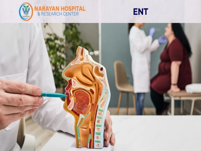 ENT Doctor in Patna: Tips for Maintaining Ear, Nose, and Throat Wellness