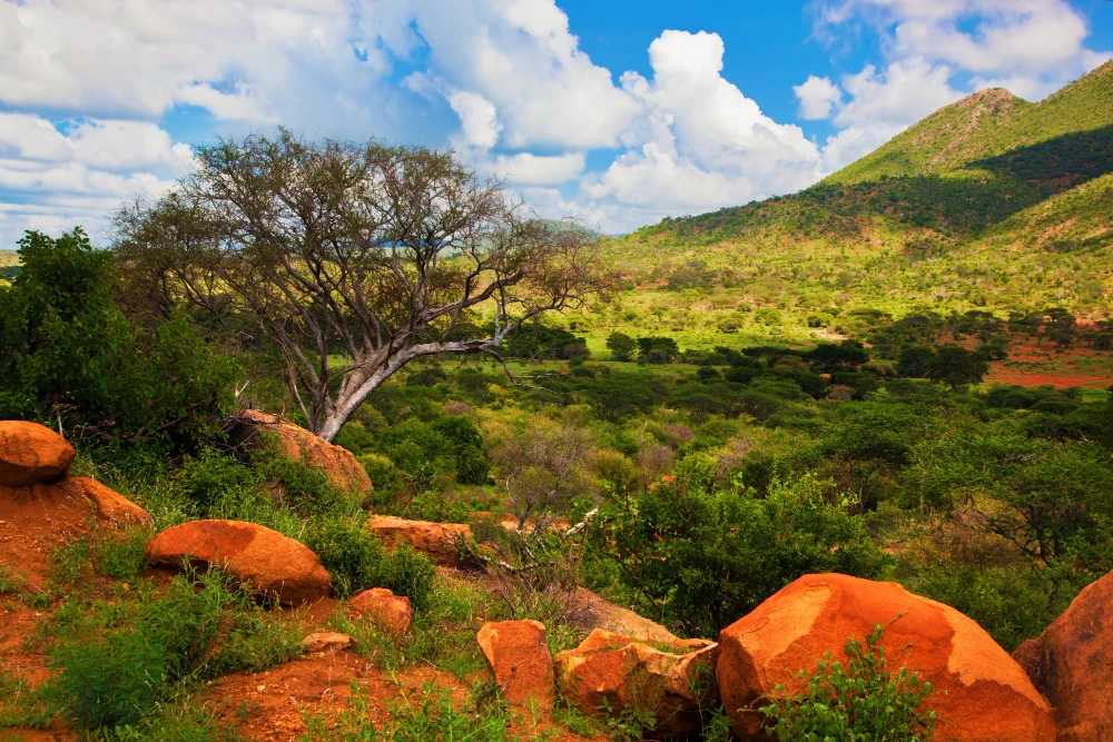 Explore South Africa: Dubai to Cape Adventure Packages