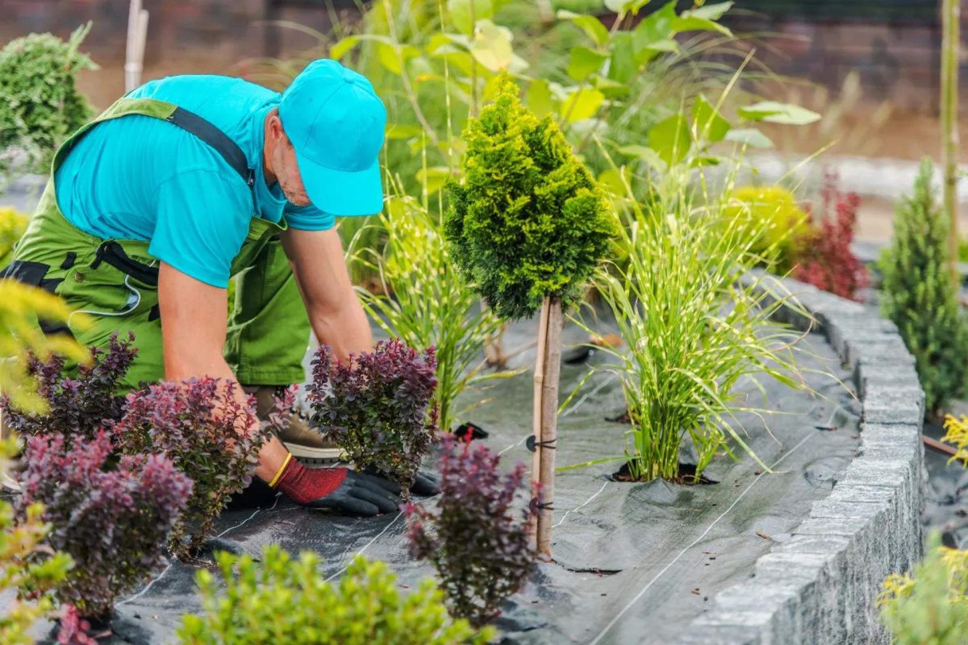Hardscaping Buffalo NY: Enhancing Outdoor Living with Style and Strength
