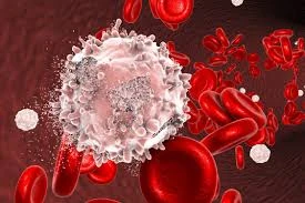 Understanding Blood Cancer: Symptoms, Diagnosis, and Treatment