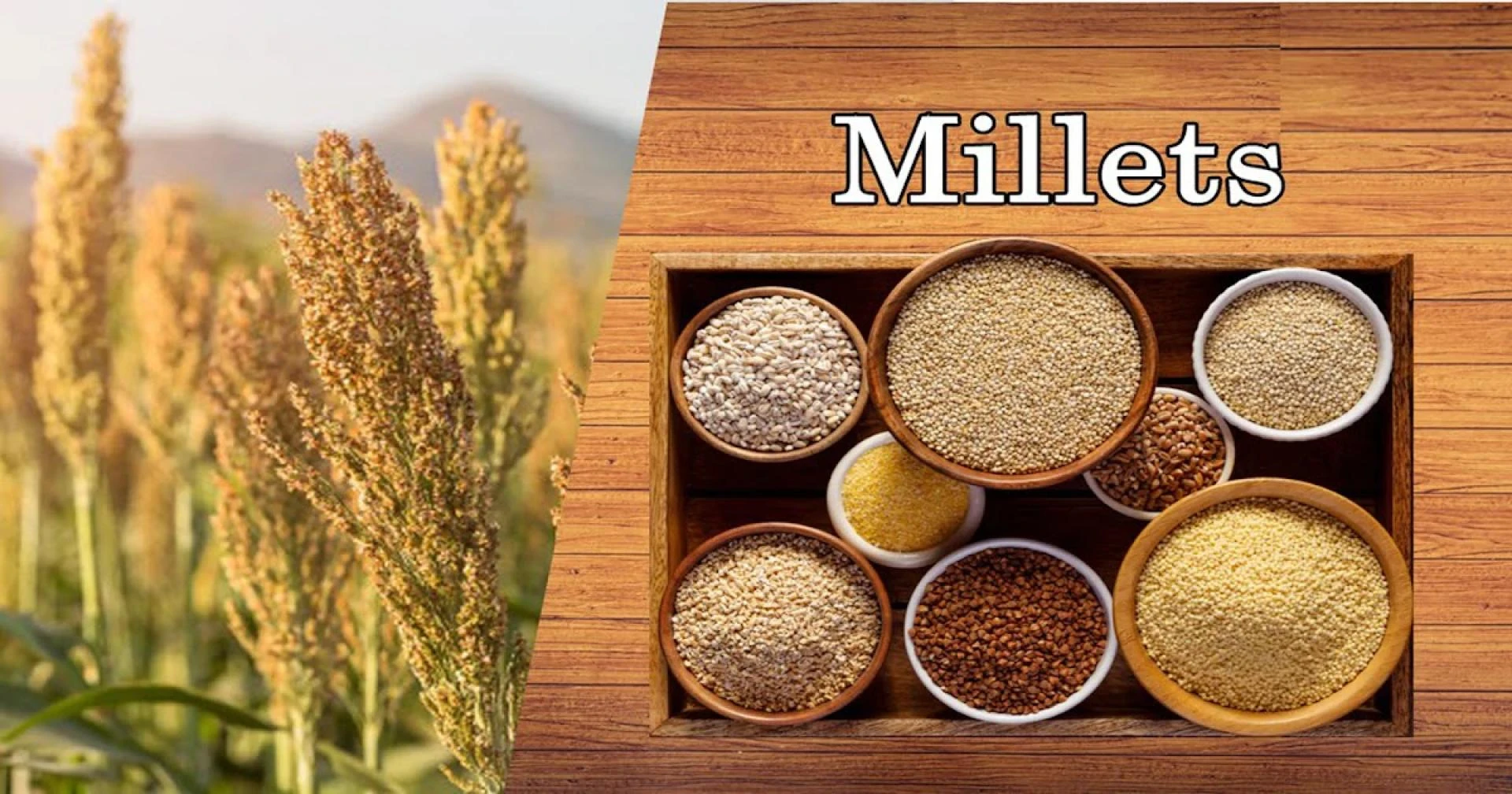 How Millets Can Transform Your Gluten-Free Lifestyle for Better Digestion