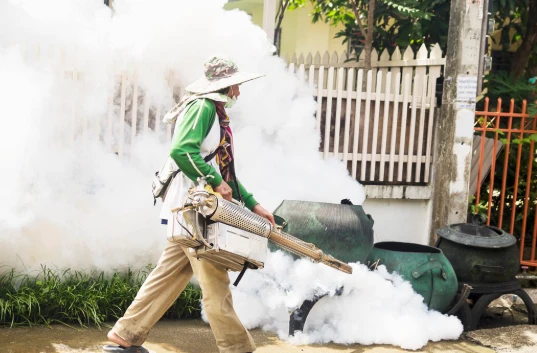 Say Goodbye to Buzzing Pests: The Ultimate Guide to Mosquito Control in Las Vegas