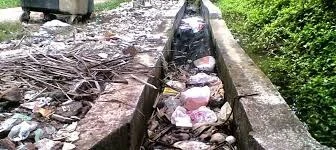The Environmental Impact of Poor Drainage Infrastructure And How to Fix It