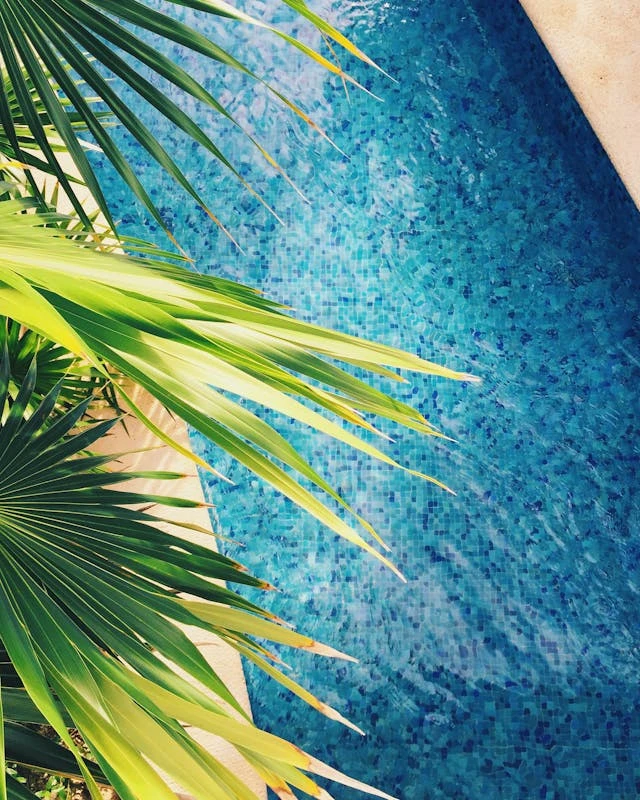 How a Pool Screen Enclosure Can Help Keep Your Florida Pool Cleaner and Cooler