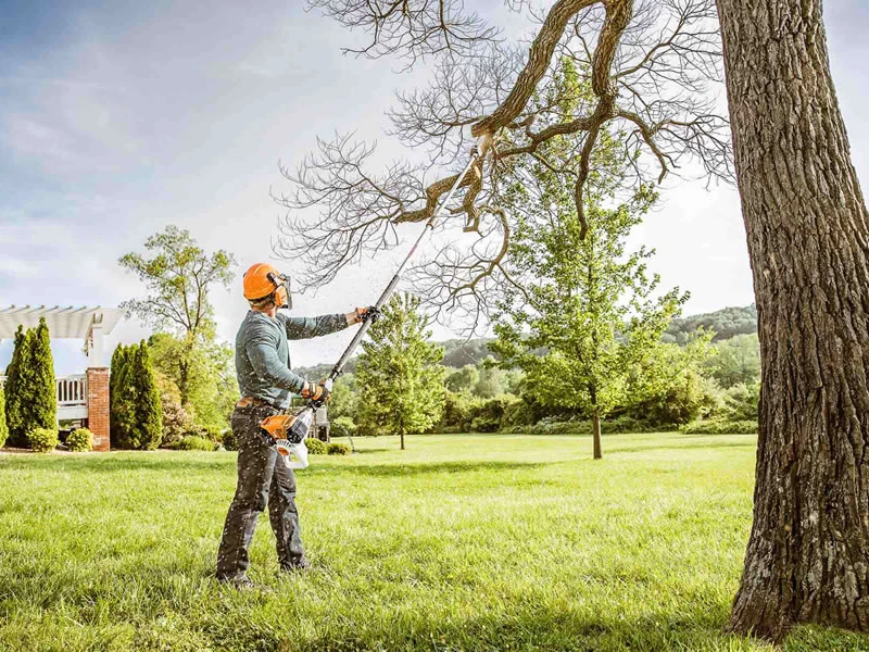 How Tree Trimming Brings Order, Light, and Life Back to Your Property?
