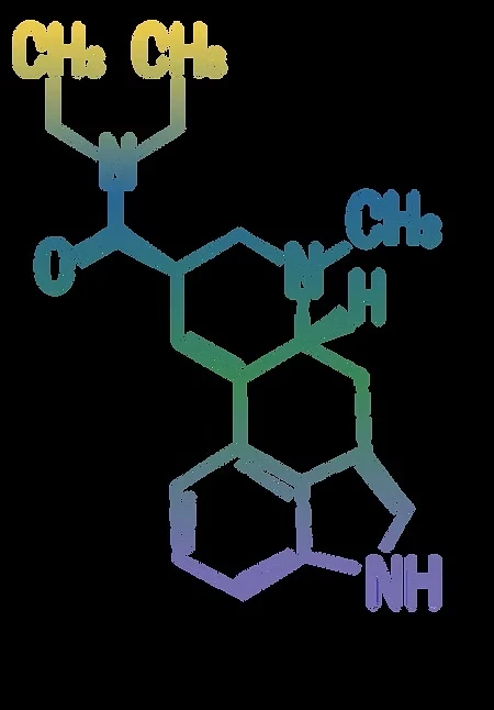 What is DMT