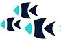 Access Oceanographic Institutes and Explore Ocean Data