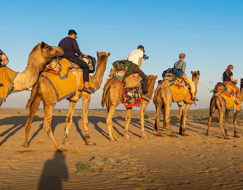 Highlights of Rajasthan: Explore Its Top 3 Cities with Tours