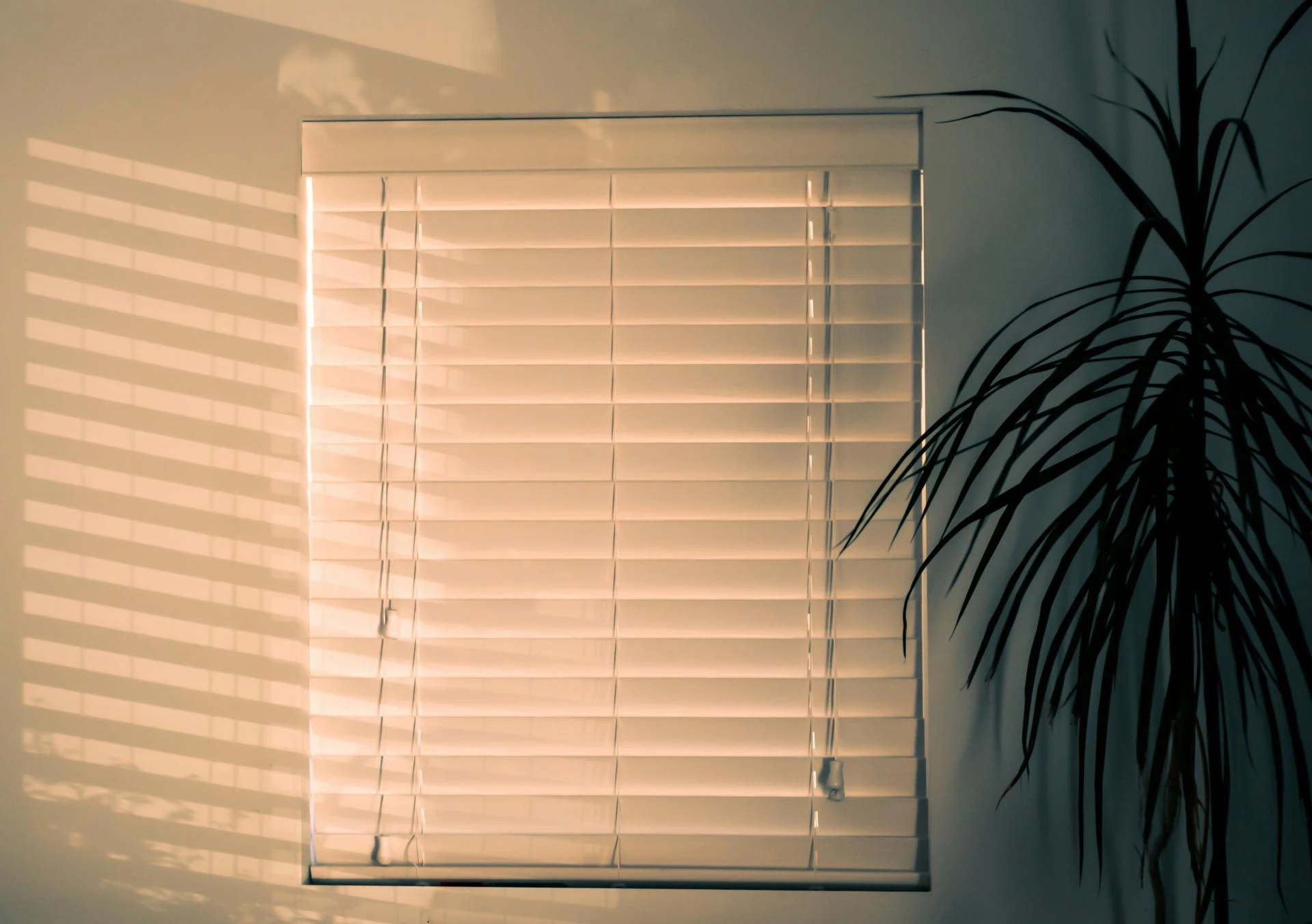 How to Make Your Home Feel Brighter with Smart Window Design