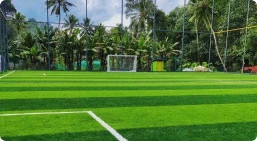 Building Professional Sports Facilities: A Complete Guide to Dimensions, Construction & Turf Costs