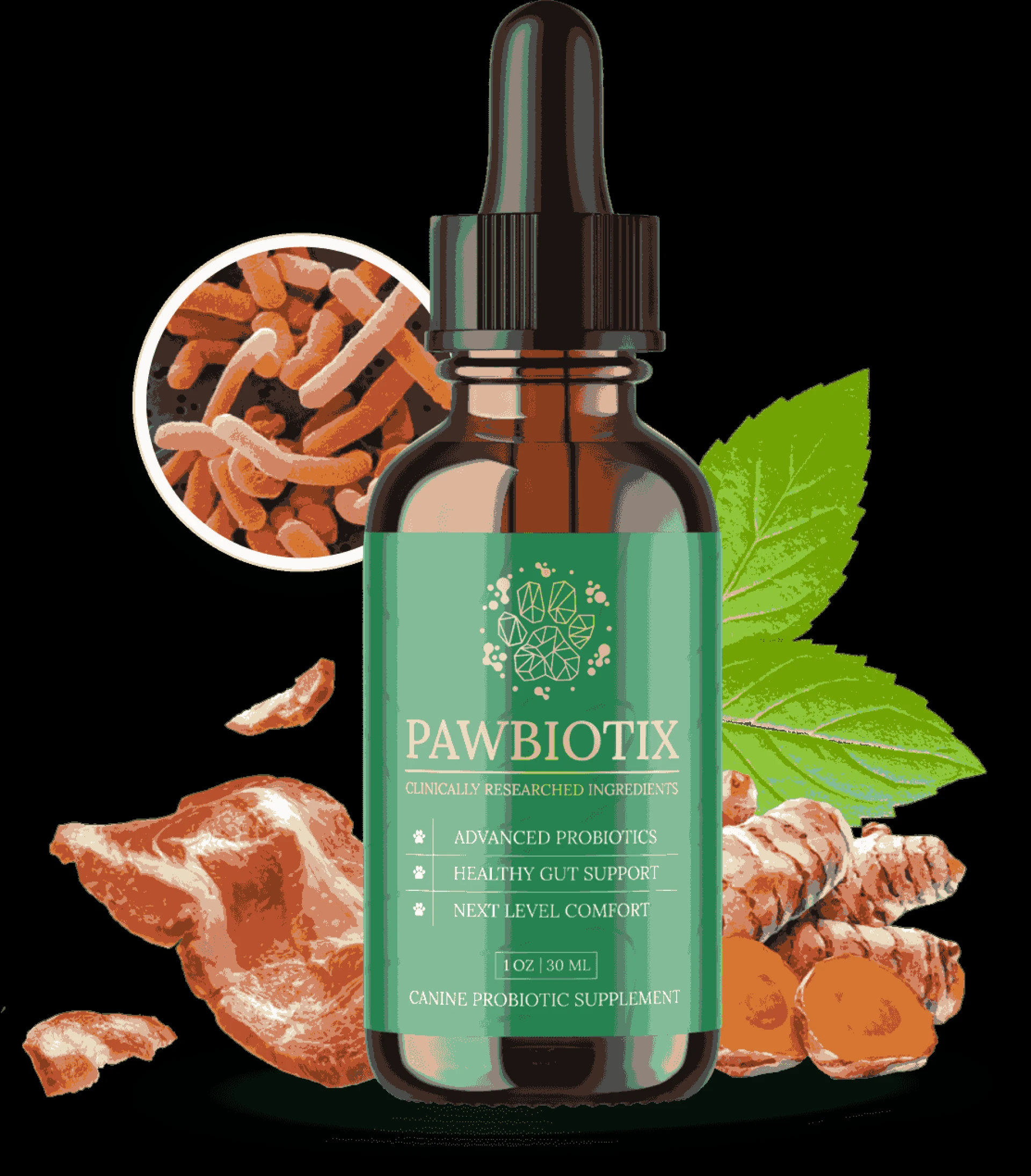 Pawbiotix: What It Is, How It Works, and What Pet Owners Should Know