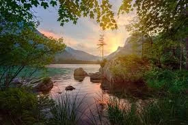 The Timeless Story of Rivers: How Flowing Water Shapes Landscapes, Cultures, and Life
