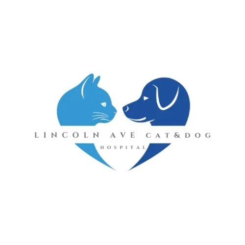 Comprehensive Guide to Orthopedic Veterinary Care in NJ: Dog Atlantoaxial Subluxation and ACL Surger