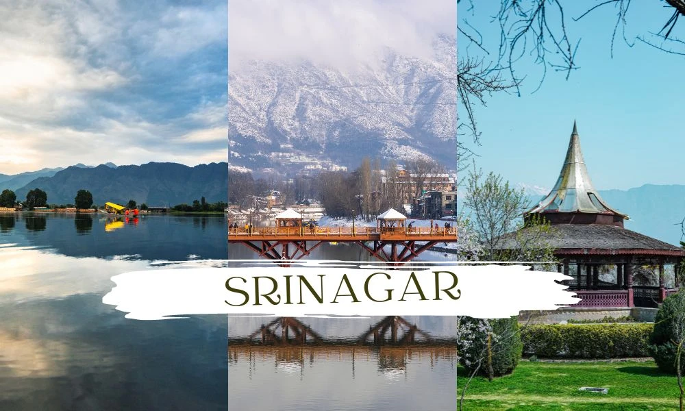 Through the Lanes of Srinagar: A Taxi Ride to Remember