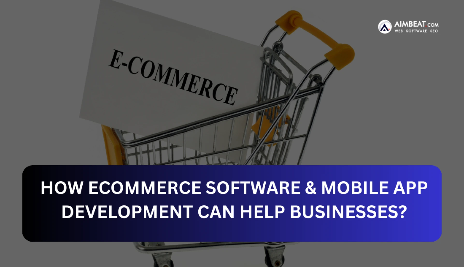 How Ecommerce Software & Mobile App Development Can Help Businesses?