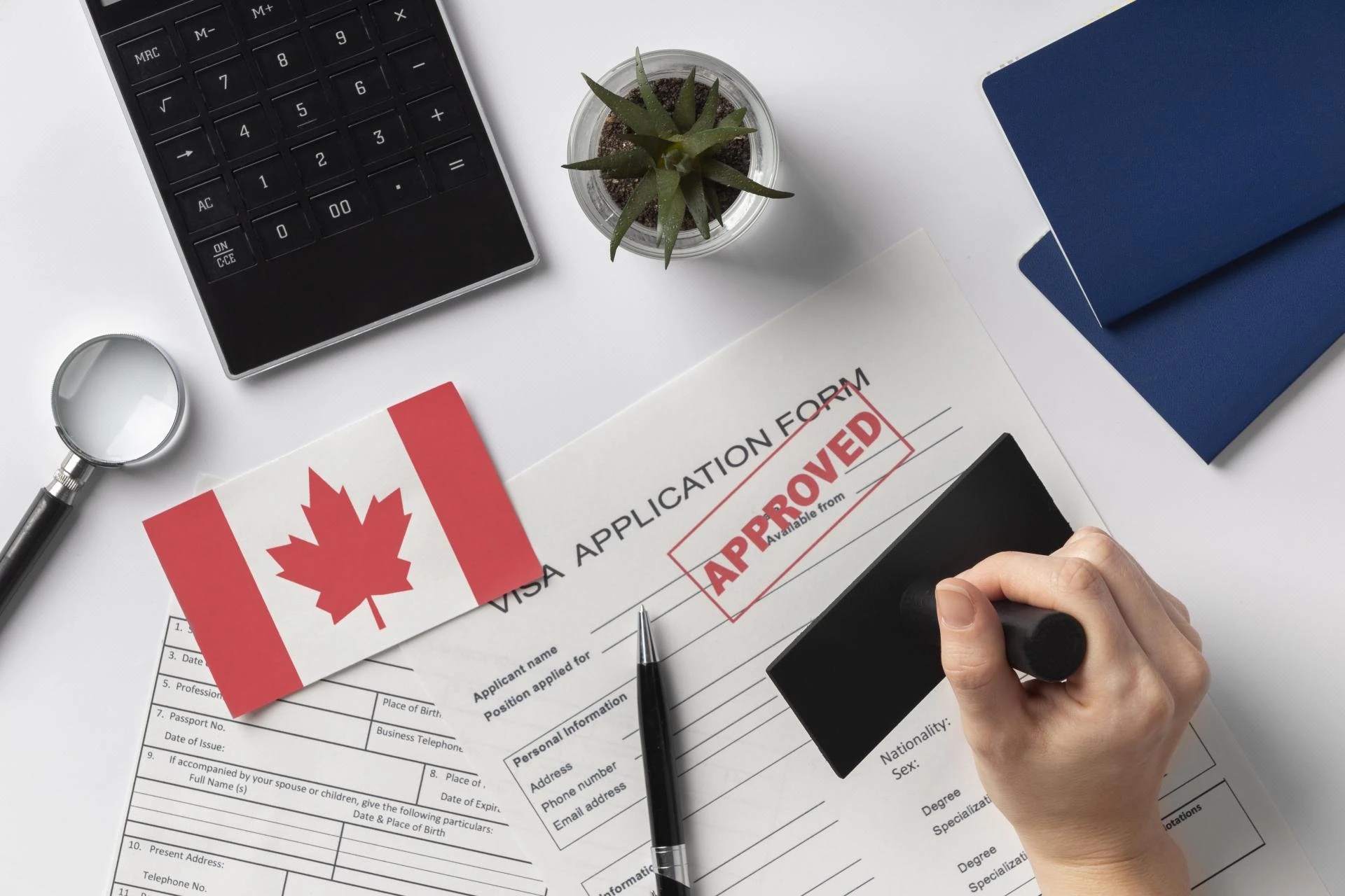 How To Prove Strong Ties To India For A Canada Tourist Visa Approval?