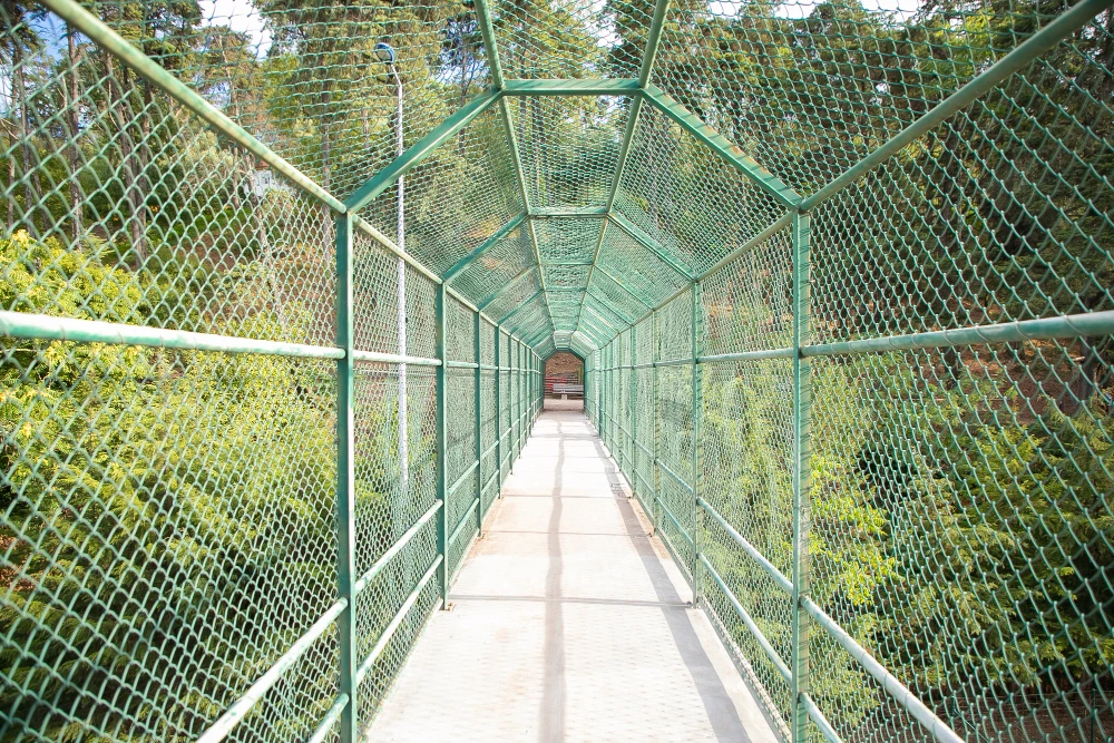 Mosquito Net in Chennai for Homes, Windows & Beds