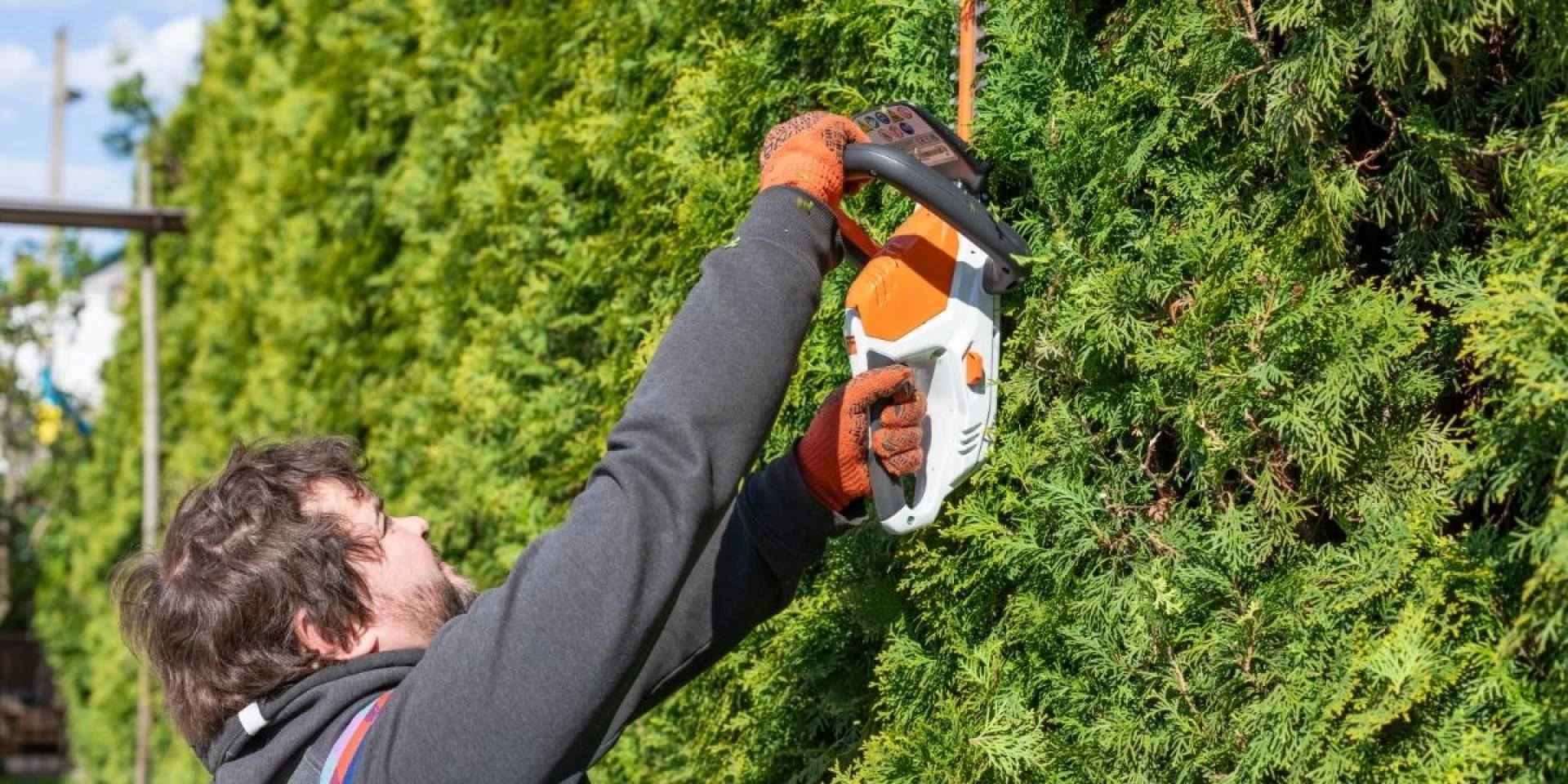 How Your Landscaping Affects Insurance Inspections