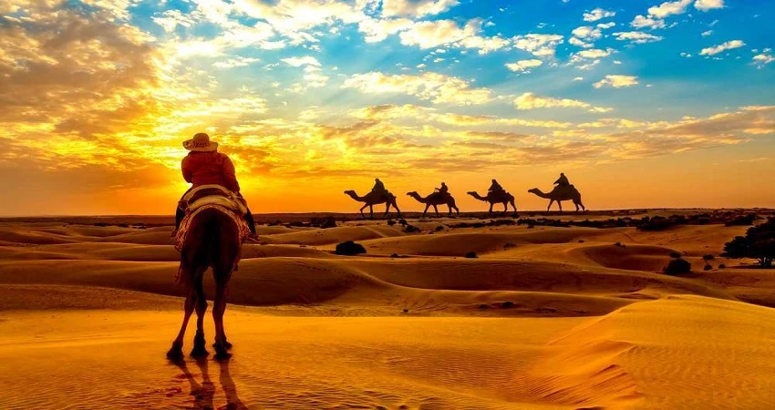 Sunset Camel Ride in Essaouira: An Unforgettable Moroccan Adventure