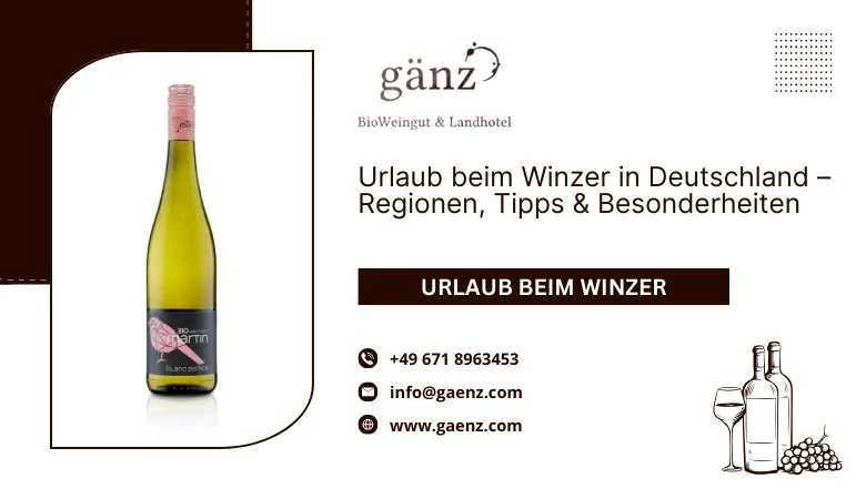 🍷 Urlaub beim Winzer in Deutschland – Regionen, Tipps & Besonderheiten