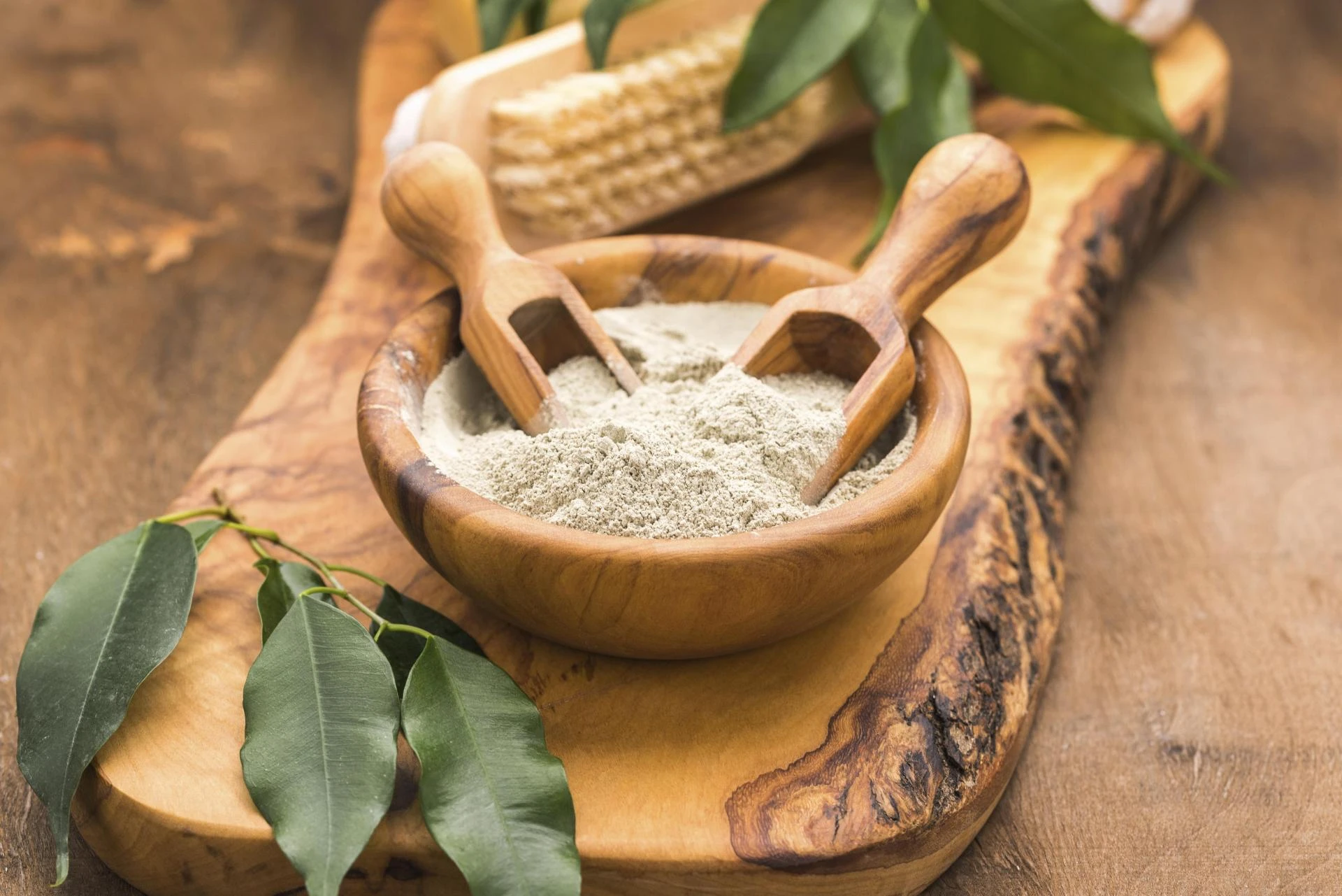 Fueling Wellness the Plant-Based Way: Protein, Digestion, and Everyday Vitality