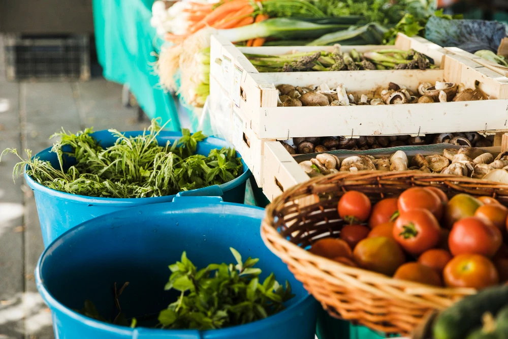 Easy to Grow Vegetables at Home in India Using Pots and Containers