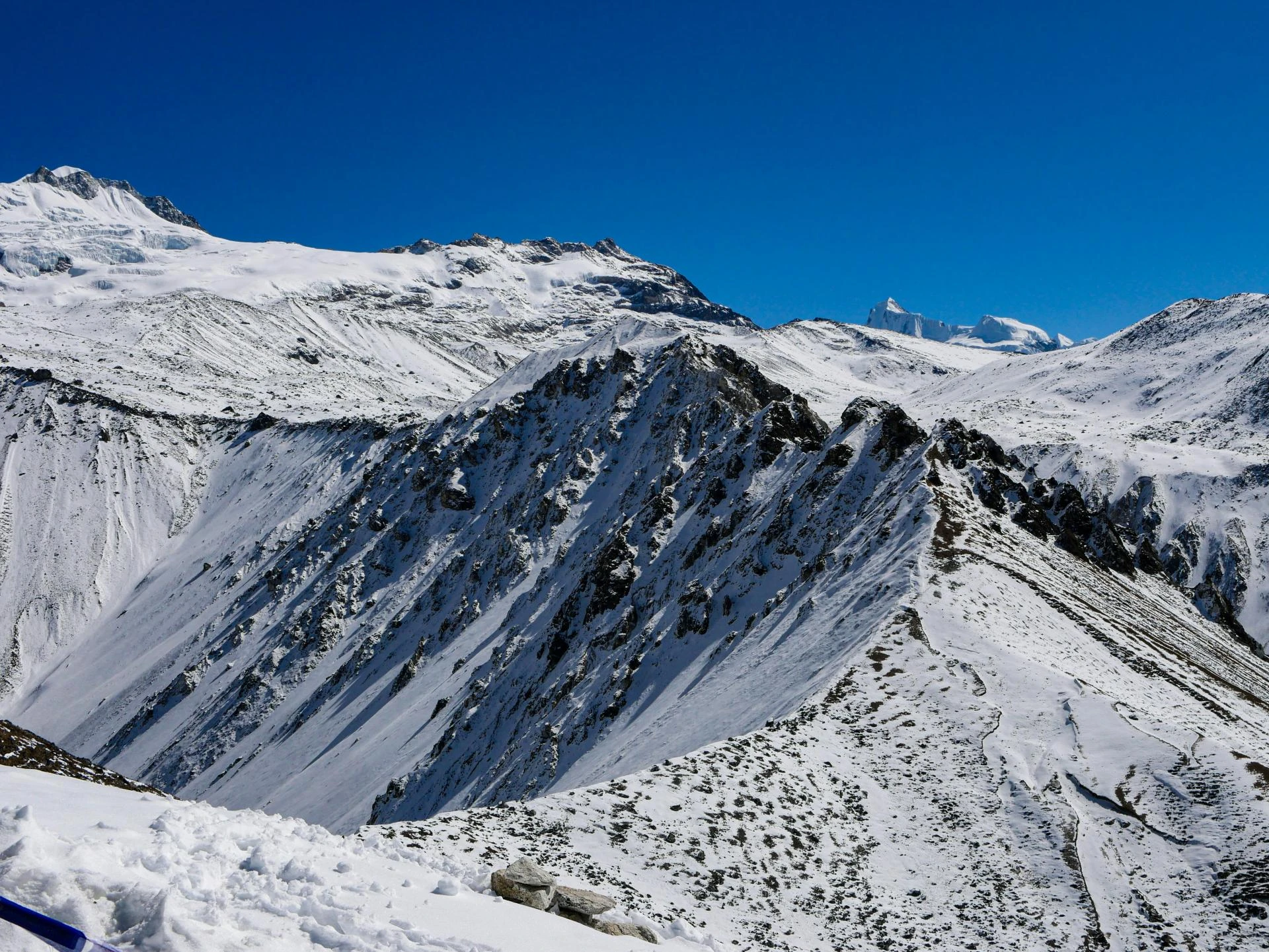 Unlock Nature’s Secrets: A Life-Changing Langtang Valley Trek