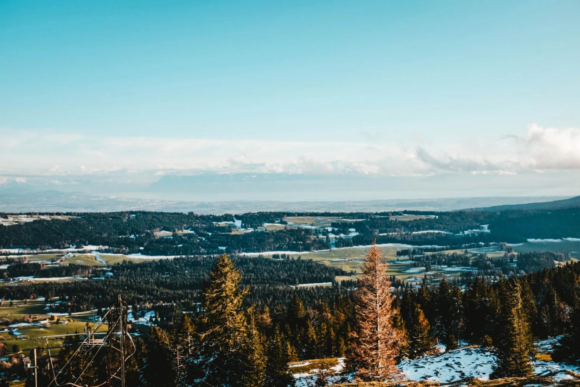 Things to Do in Evergreen, CO: Discover the Mountain Lifestyle