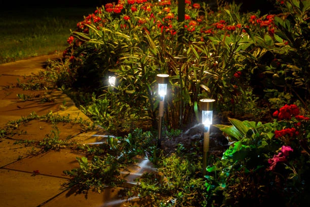 Enhance Your Yard with Stylish and Efficient Solar Landscape Lights
