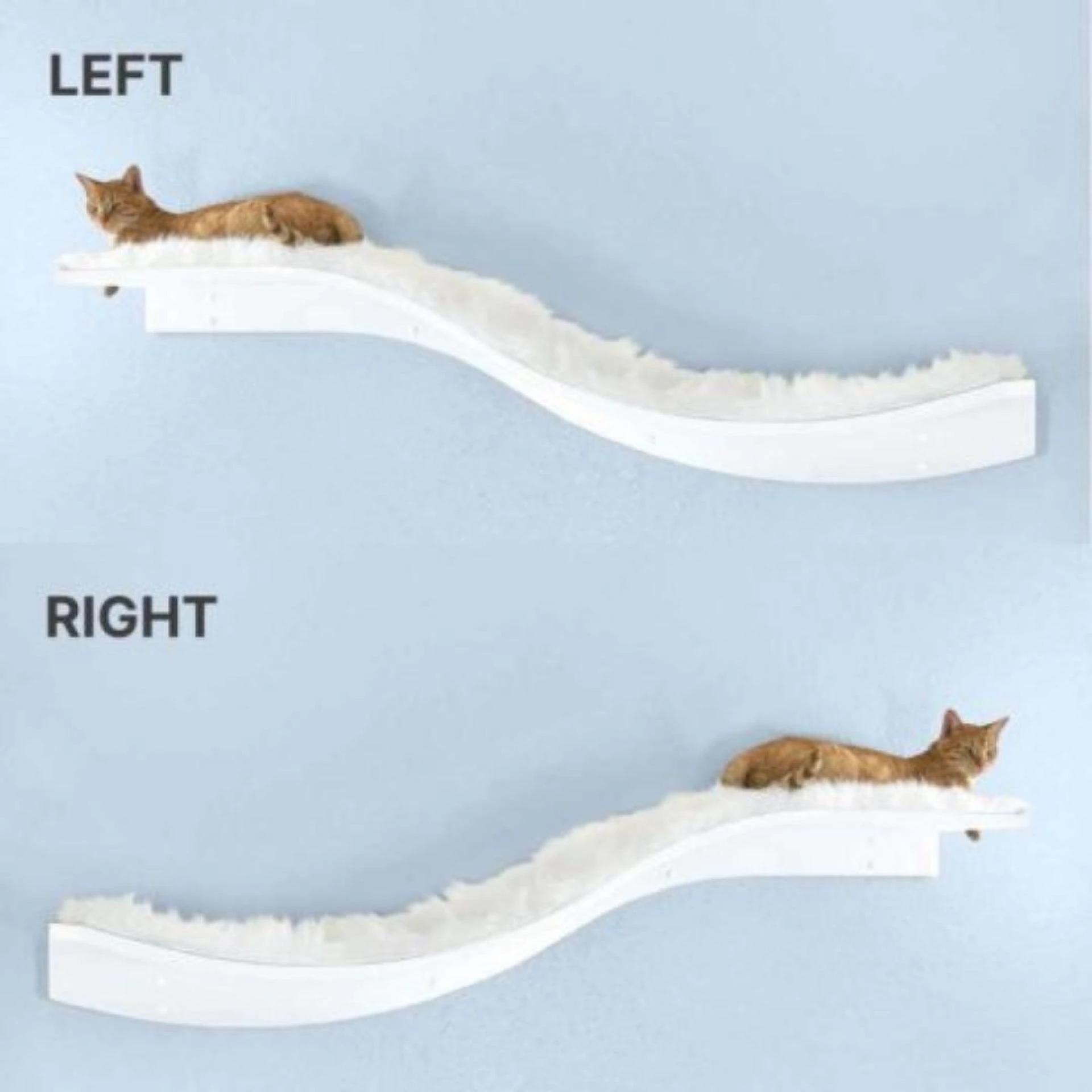 Cat Shelves for Cats: Enhance Your Cat's Space with Style & Comfort