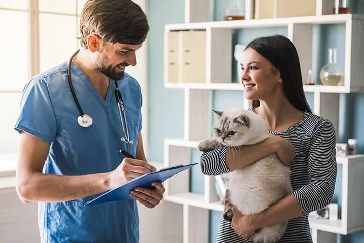Accountants for Vets – Specialist Veterinary Tax & Accounting Services