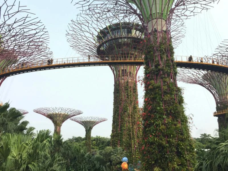 Why Are Singapore Honeymoon Tours Popular Among Indian Couples?