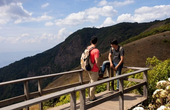 Collpa Chuncho Macaw Tour: Birds, Boats, and Jungle Views