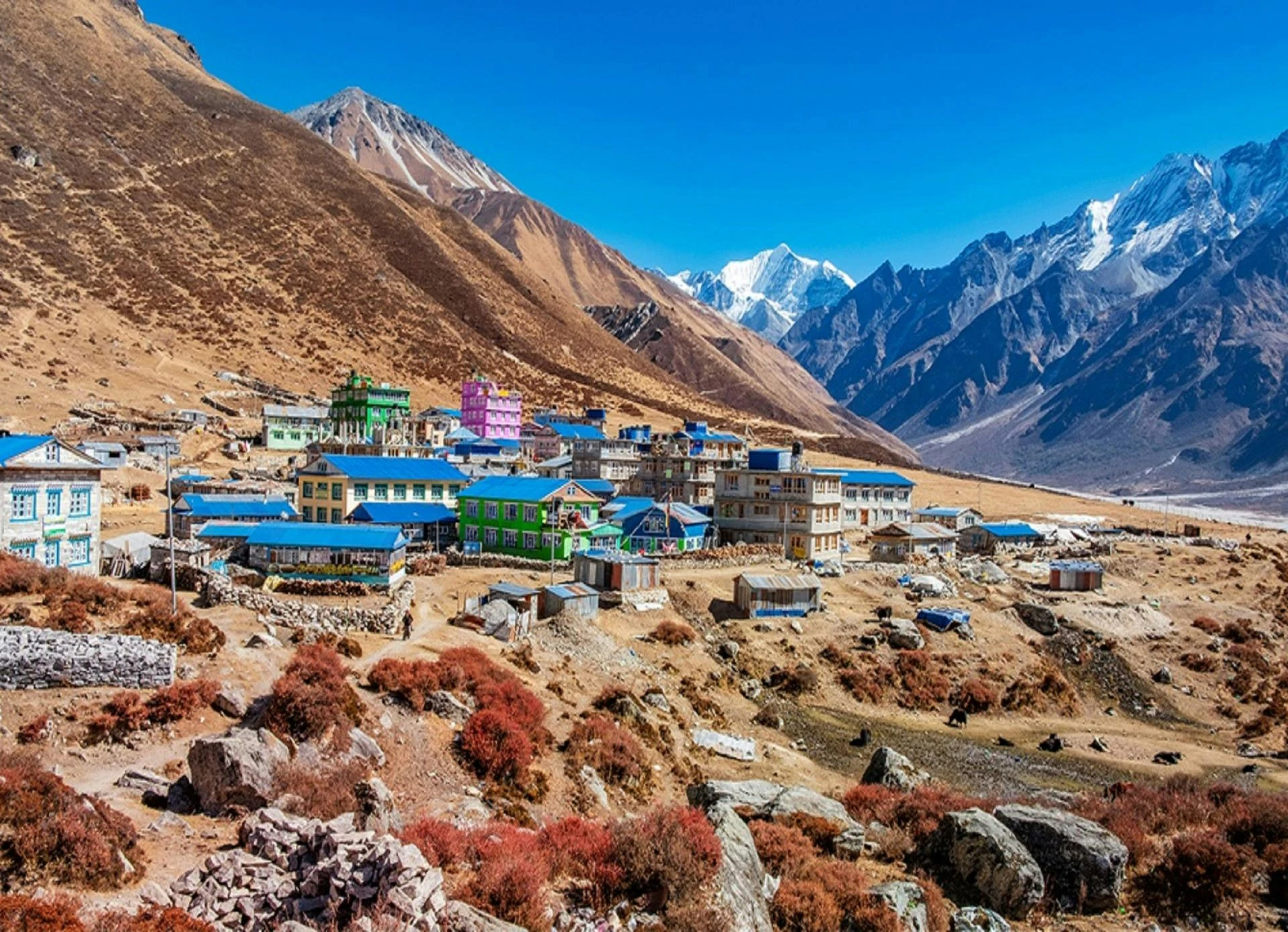 Discover Nepal’s Hidden Trails: Langtang Valley Trek and Annapurna Circuit Trek