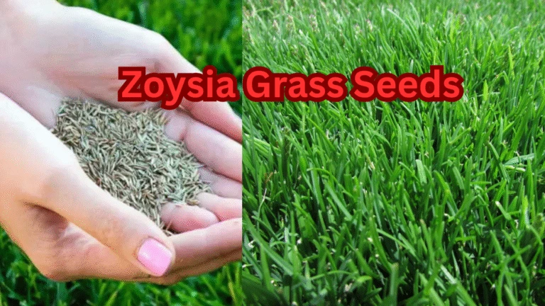 Top Grass Cutting Machine – Types, Prices, Uses & Buying Guide