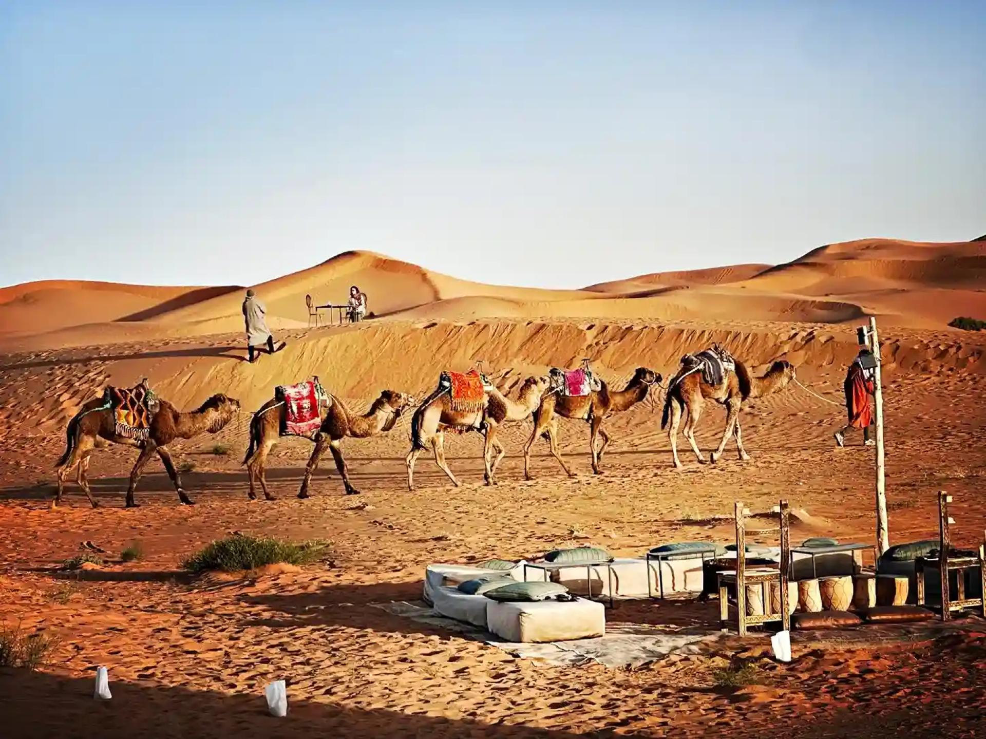 Exploring Morocco with Unforgettable Tours