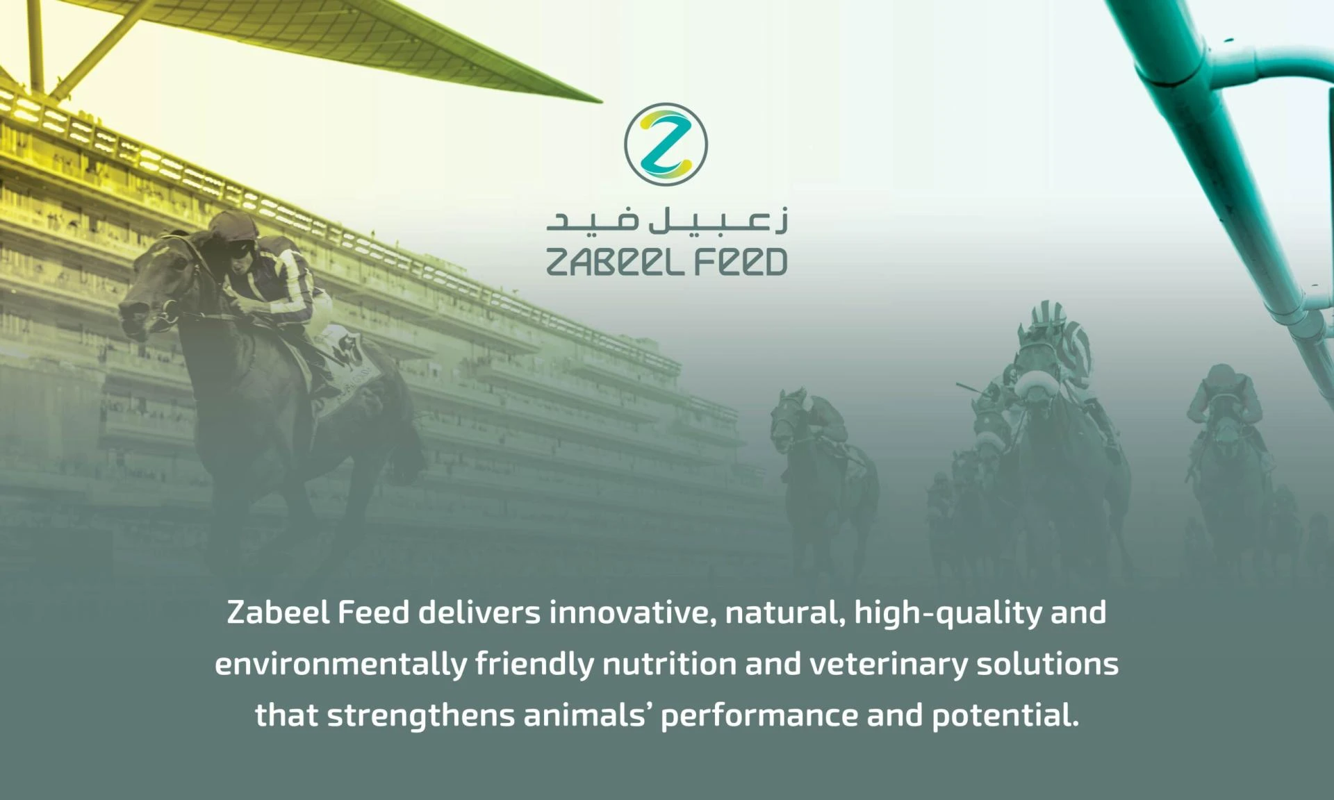 How Balanced Horse Feed Improves Performance and Endurance