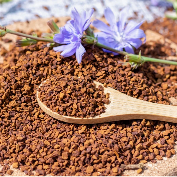 Chicory: A Sustainable Crop with Powerful Health Advantages