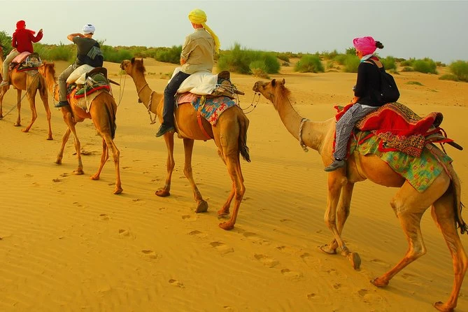 5 Things to Know Before Your Jaisalmer Camel Safari