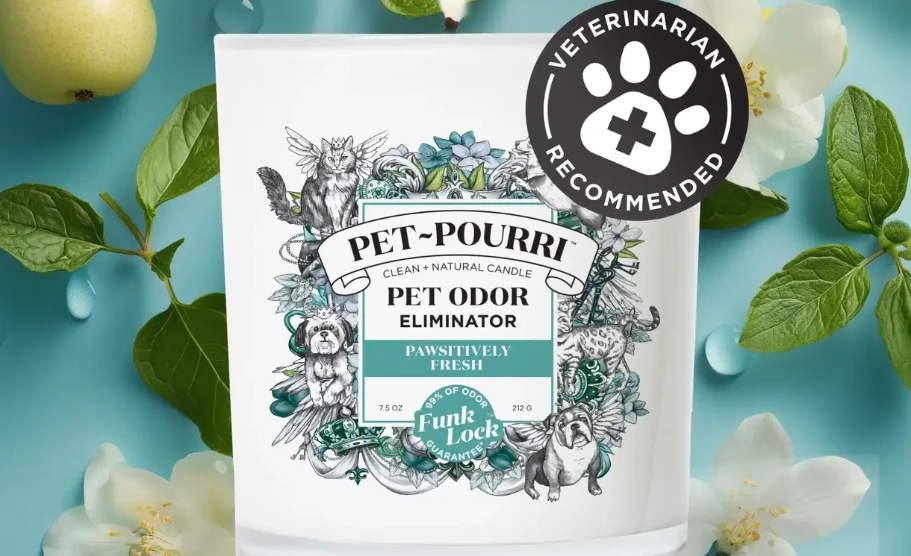 Pet-Pourri Pawsitively Fresh Candle Review: A Simple Way to Eliminate Pet Odors at Home