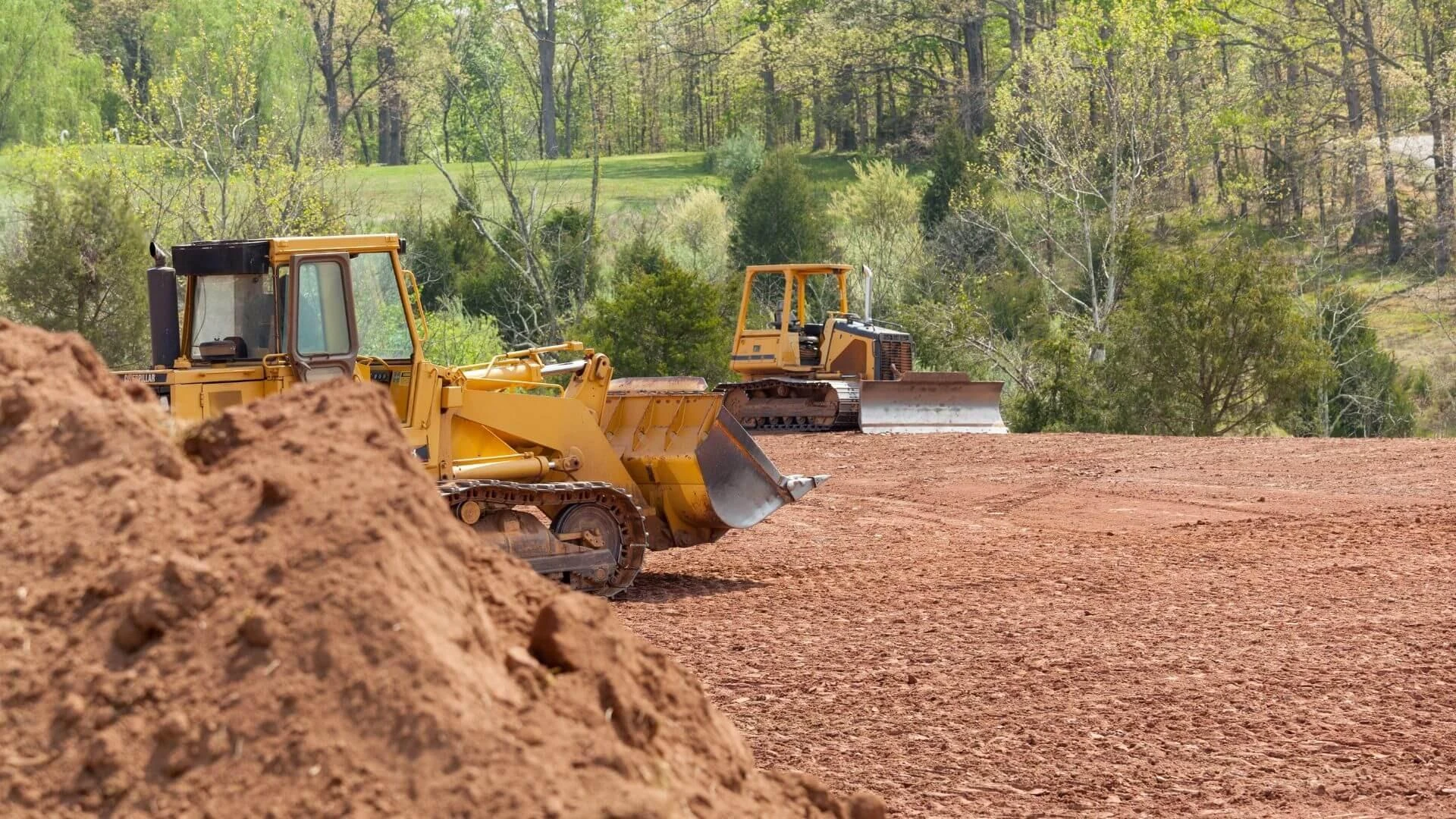 Expert Tree Care Solutions: Professional Tree Trimming Services, Tree Cutting Service, and Trusted Tree Removal Company